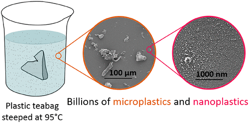 Microplastics 