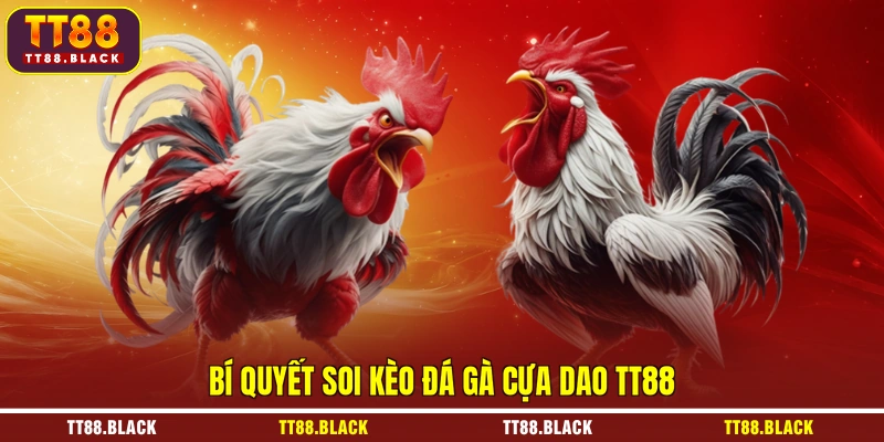 Bí quyết soi kèo đá gà cựa dao TT88