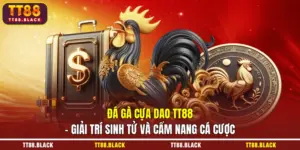 Đá gà cựa dao
