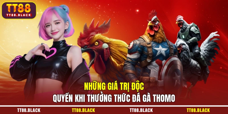 Những giá trị độc quyền khi thưởng thức đá gà Thomo